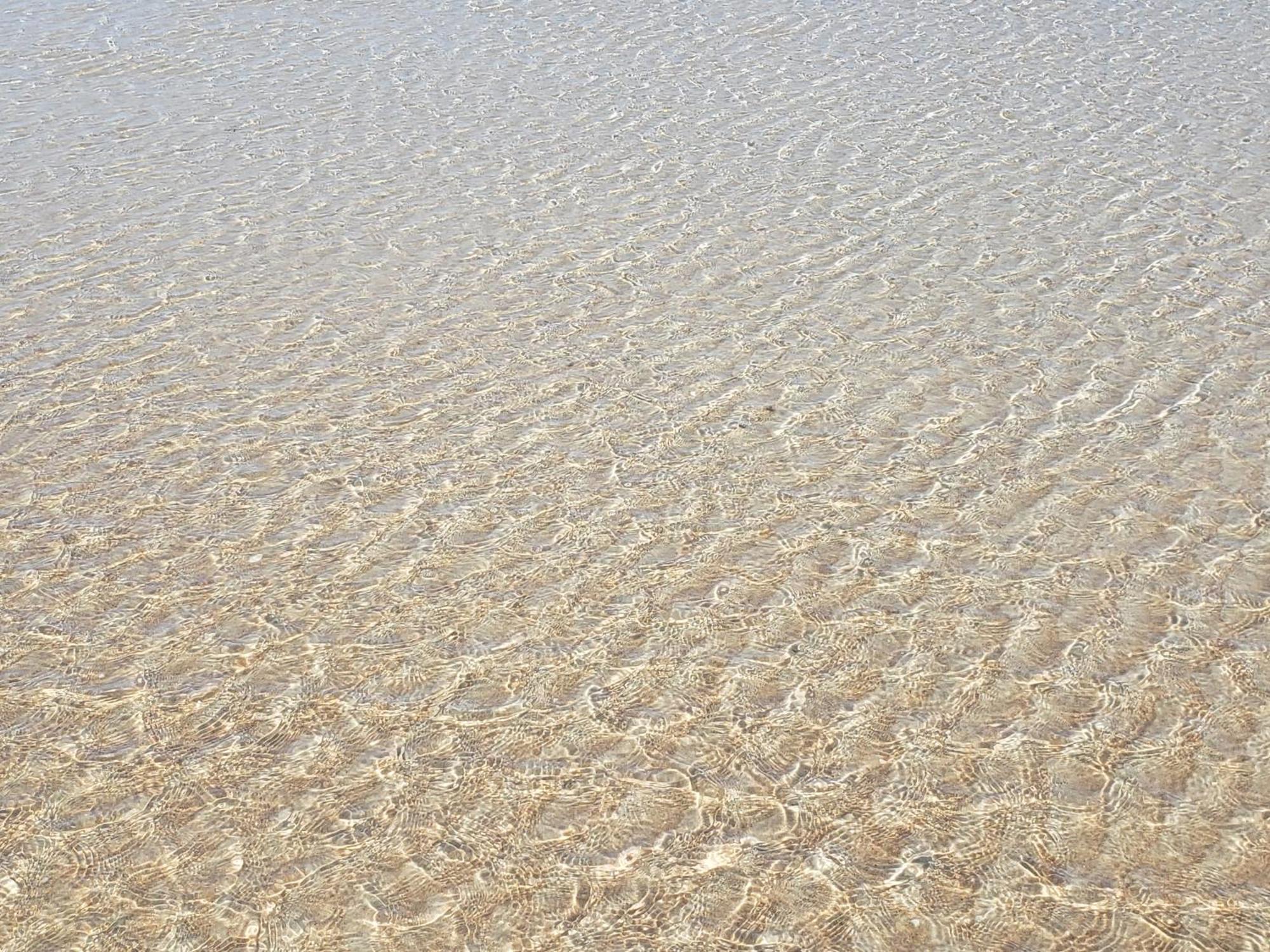 Beachside Bliss Ocean Views & Endless Fun Daytona Beach! エクステリア 写真