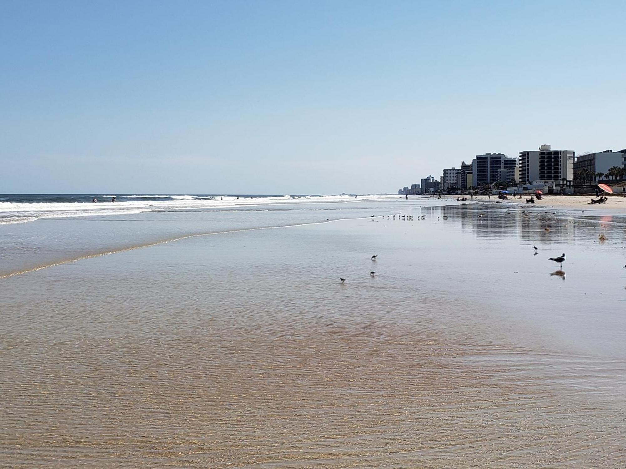 Beachside Bliss Ocean Views & Endless Fun Daytona Beach! エクステリア 写真